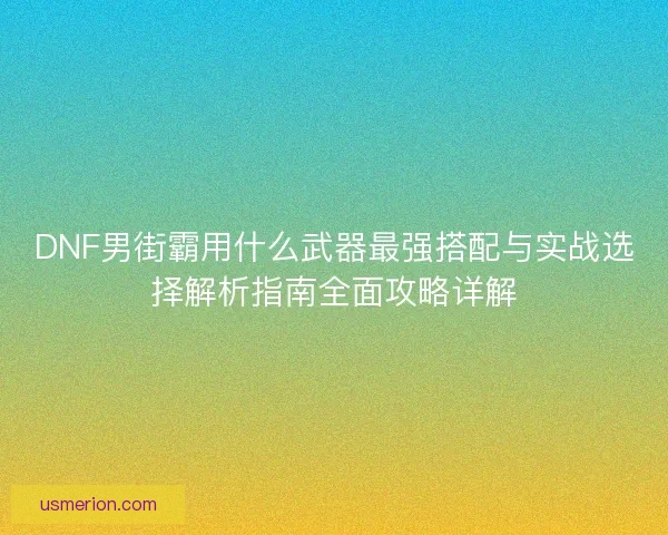 DNF男街霸用什么武器最强搭配与实战选择解析指南全面攻略详解