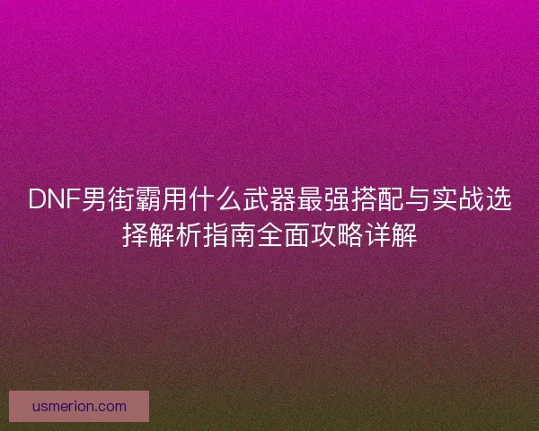 DNF男街霸用什么武器最强搭配与实战选择解析指南全面攻略详解